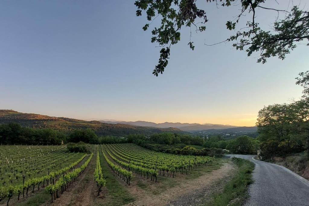 Vue De Rennes-Le-Chateau Couiza Εξωτερικό φωτογραφία
