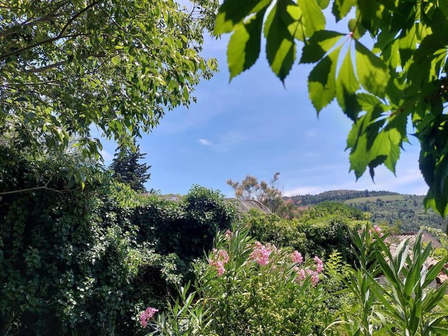 Vue De Rennes-Le-Chateau Couiza Εξωτερικό φωτογραφία